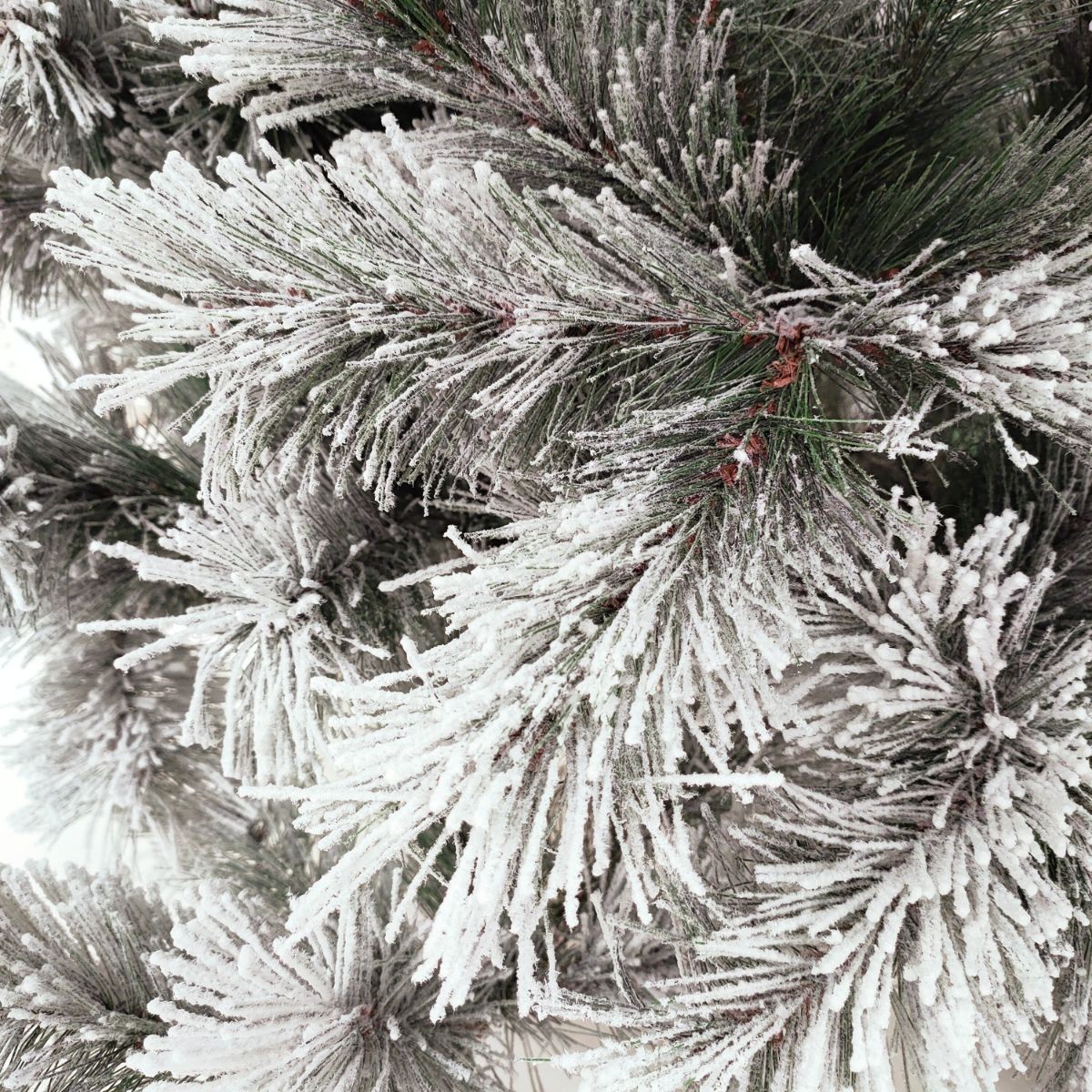 Albero di Natale innevato Des Alpes 210 cm Flora