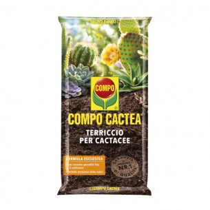 Terriccio per cactacee Compo Cactea 2,5L