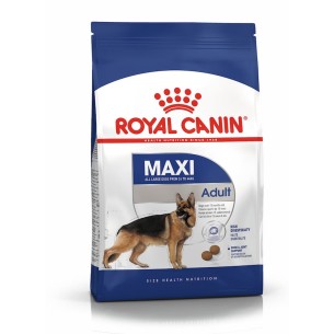 Royal Canin MAXI Adult alimento secco per cani