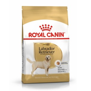 Royal Canin Labrador Retriever Adult alimento secco 12kg