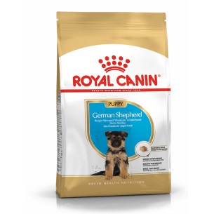 Royal Canin German Shepherd Puppy alimento secco cani