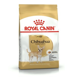 Royal Canin Chihuahua Adult alimento secco cane