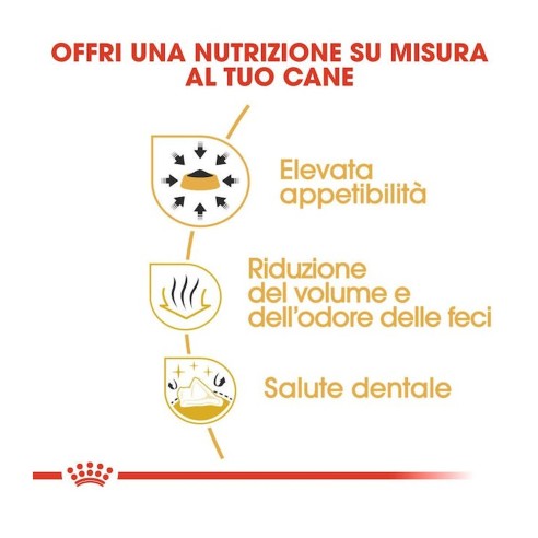 Royal Canin Chihuahua Adult alimento secco cane