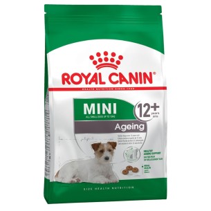 Royal Canin Mini Ageing 12+ alimento secco cane