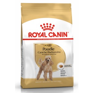 Royal Canin Barboncino Adult alimento secco cane 1,5kg