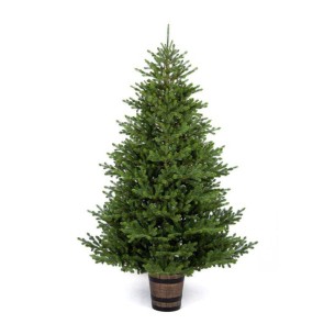 Albero di Natale National 180 cm con vaso Flora Nationalpo180